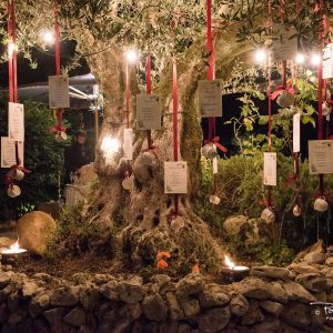 fotografo matrimoni bracciano